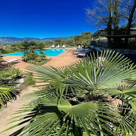 شقة A Magical Experience In Fabulous Grounds With Pool Jacuzzi Wifi Aircon Colle Umberto (Umbria)